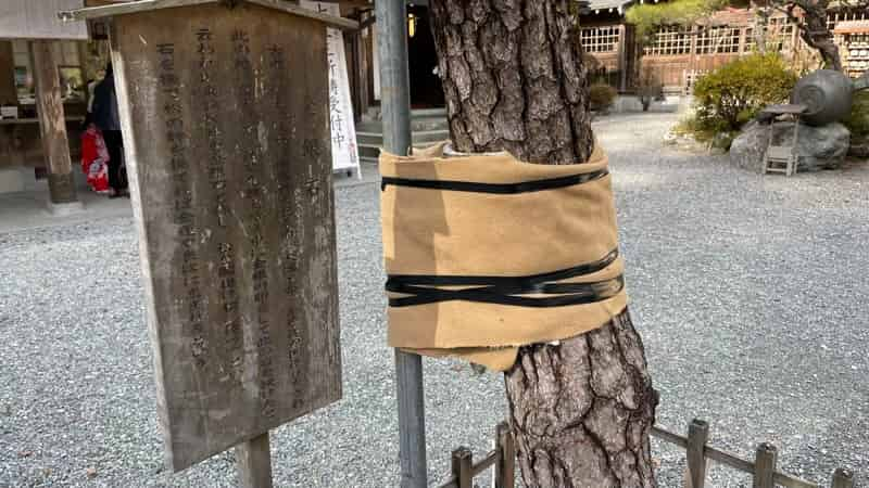 小國神社の金銀石の看板