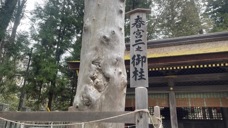 諏訪大社下社　春宮　御柱