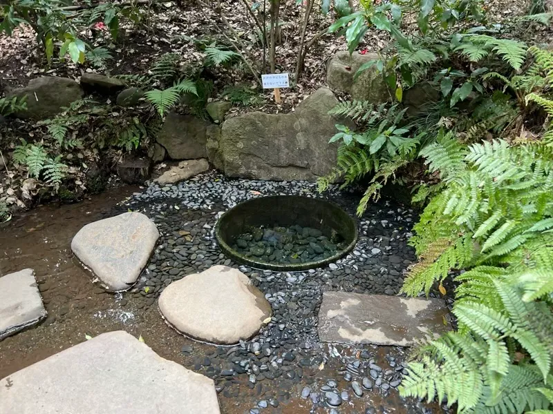 清正井