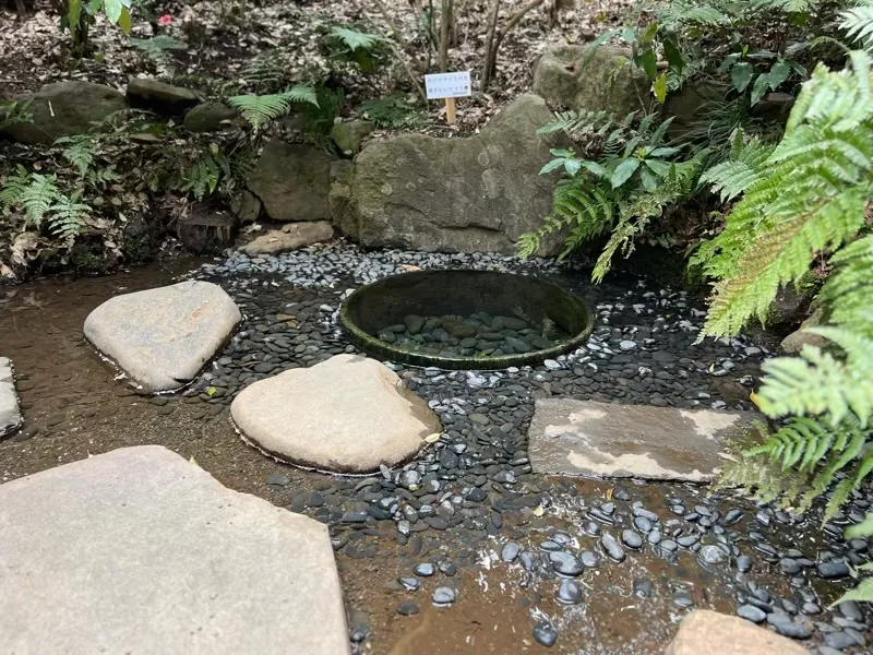 清正井