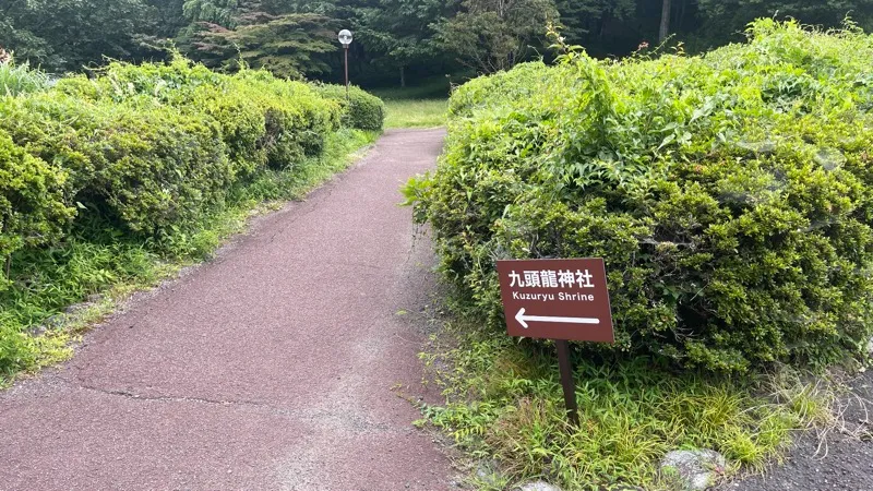 九頭龍の森